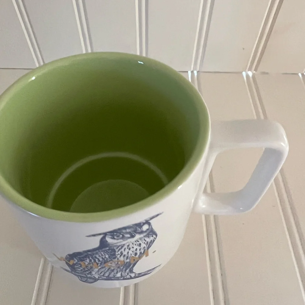 NEW Owl Coffee Mug with Green Interior Whom Grammar Joke